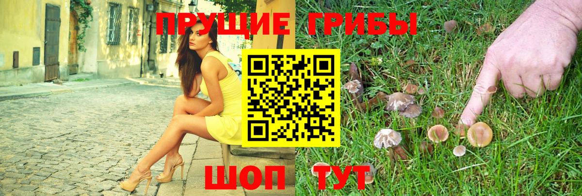 Галлюциногенные грибы Psilocybe Великий Устюг