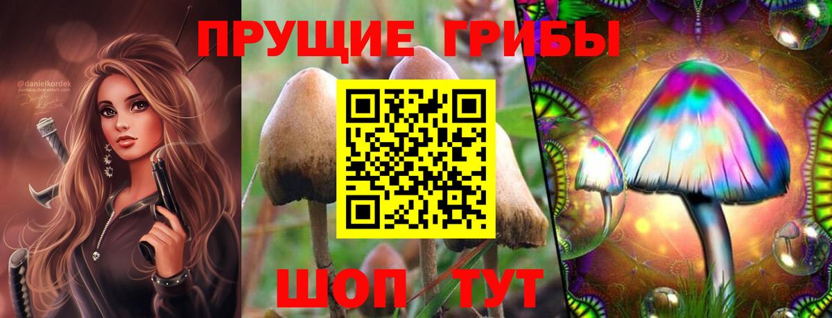 Галлюциногенные грибы ЛСД  Вход с VPN  Великий Устюг 